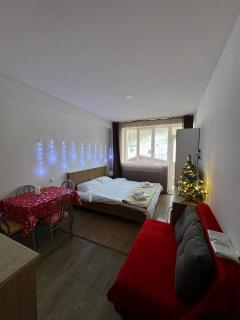Apartment in Bakuriani - Bakuriani - 0