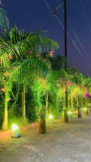 Ashoka Lawns and Resort - 3