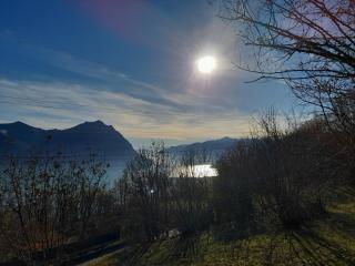 Beb san giorgio - Volpino - 0