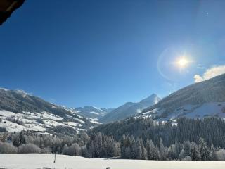 Haus Schmetterling mit Private Spa - Alpbach - 7