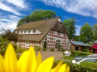 Kamin Ofen Wohnung -Altes Landhaus Oste- 2 Schlafzimmer, Bad, Küche, Terrasse, W-Lan, Nordsee Strand - Hemmoor - 7