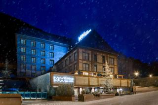Hotel MIM Baqueira Luxury & SPA - Baqueira-Beret - 3