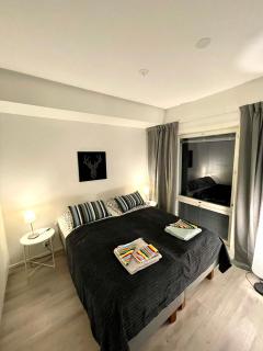 Three Stones Apartments - 4