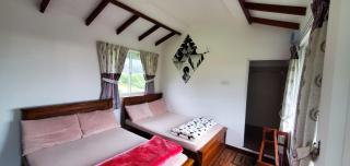 Acme Divine View - 2