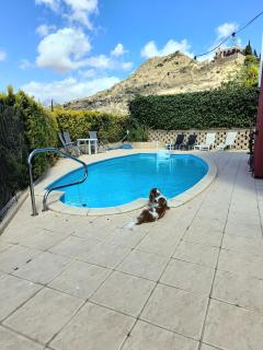 Villa Alicante - Bonalba Golf - Mutxamel - 7