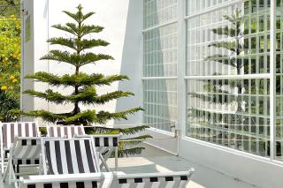 It my life cafe x camp - 6