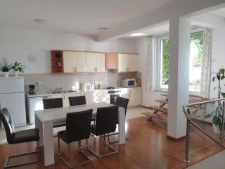 Abelia, two terraces, hot tub, free parking - Dubrovnik - 7