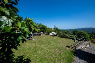 207 - Appartamento Mimosa, Terrazza, giardino e Piscina - Residence Cherry House - Carro - 1