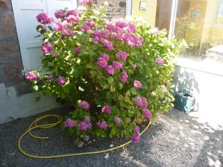 LES Herbus angle rue de l'avant-garde et 31 rue Jérémie - 5