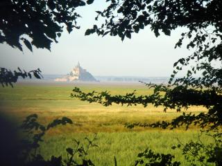 LES Herbus angle rue de l'avant-garde et 31 rue Jérémie - 3
