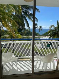 Mango Paradise - Saint-François - 9