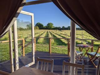 Wolds Wine Estate - - 0