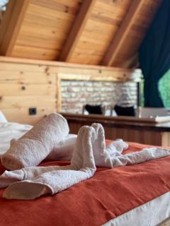 Dvabi suit bungalov - Çamlıhemşin - 5