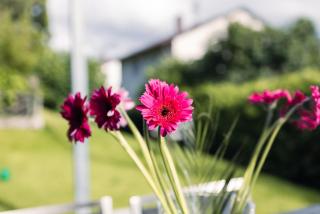 Purer Genuss - Garten und Alpe - Owingen - 8