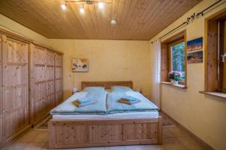 Ferienhaus Sonne Harz und Sterne - Hohegeiß - 1