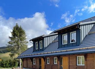 Chalet Foret - Ferienwohnung - Todtnauberg - 9