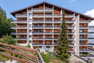 Chaedoz 21-2 - 4 pers - au calme - Nendaz - 9