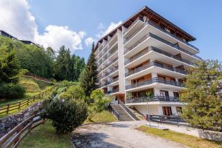 Chaedoz 21-2 - 4 pers - au calme - Nendaz - 8