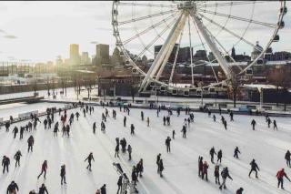 Cozy 1BR in Vieux-Longueuil +parking 14min Downtown - 7