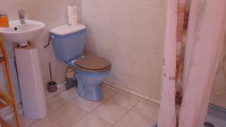 Caribgites - 4