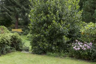 Waldhaus Igls - 5