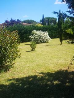 Podere Simonetta - A4 - Cecina - 3