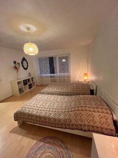 Ruhige Ferienwohnung im Saarland - Schiffweiler - 8
