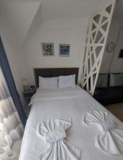Best Mountain View Apartment Milmari P80 - Kopaonik - 4