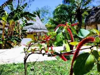 Hotel y Museo Aldea Maya Toktli Orígenes - Casa Maya Del Toloque Coronado - Alberca, Wifi Starlink, Tour Museo - Izamal - 8