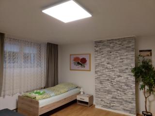 Albi Haus Winterberg - Winterberg - 4