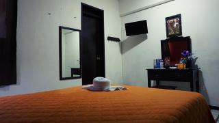 Hotel Murallas 231, CENTRO HISTORICO - 1