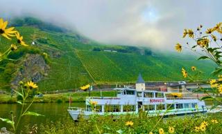 Hotel Krone Riesling - Trittenheim - 3