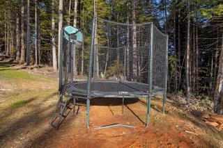 Mendocino Redwood Retreat - Sunrise Cottage - Albion - 4