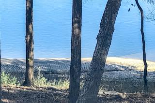 Shoreline Haven - Kimberling City - 2