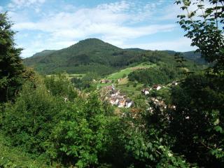 Ferienwohnung Christa - Bad Peterstal-Griesbach - 1
