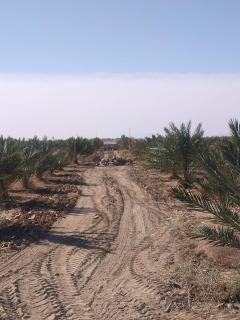 كعب غزال - Ksar Oled Cherki - 4