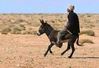 كعب غزال - Ksar Oled Cherki - 2