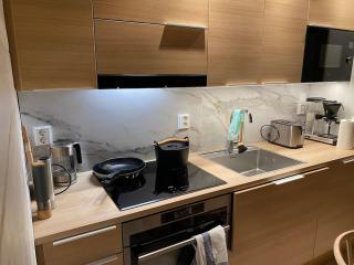 Levi Diamonds Luxury Private Jacuzzi & Ski-in&Out - 3