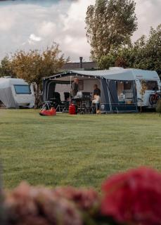 Camping De Tulpenweide lege Kampeerplaats, lege plaats op het gras zonder bed - 7
