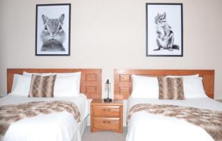 Bent Mountain Lodge - Roanoke - 7