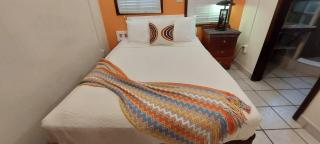 Buttonwood Belize - 2