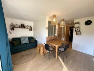 Charmant 2 pièces cabine, 4 pers, terrasse sud, proche village et pistes, parking privé - FR-1-572-293 - Arâches-la-Frasse - 0