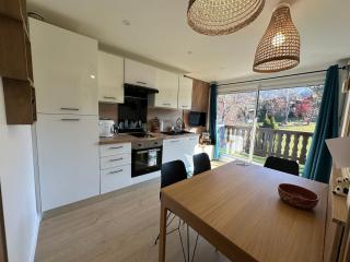 Charmant 2 pièces cabine, 4 pers, terrasse sud, proche village et pistes, parking privé - FR-1-572-293 - Arâches-la-Frasse - 9