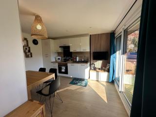 Charmant 2 pièces cabine, 4 pers, terrasse sud, proche village et pistes, parking privé - FR-1-572-293 - Arâches-la-Frasse - 8