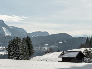 Charmant 2 pièces cabine, 4 pers, terrasse sud, proche village et pistes, parking privé - FR-1-572-293 - Arâches-la-Frasse - 2