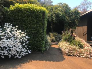 Belle Voir- scenic views, steps from town - 1