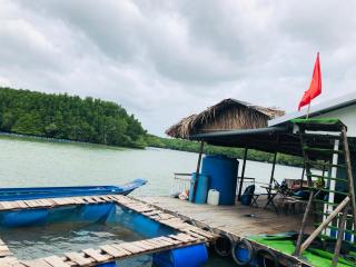 Cần Giờ Floating House - - 3