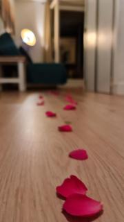 Splendide appartement GOLDEN HOUSE vue LAC et montagne - Port-la-Nouvelle - 2