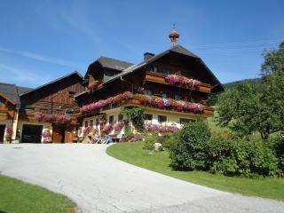 Pension-Greimelbacherhof - Ramsau am Dachstein - 4