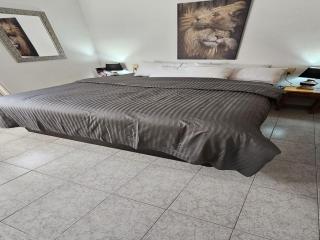 doree 226 - Miami Platja - 1